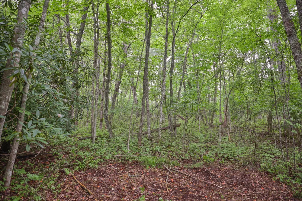 Lot E8 New Settlers Way Glenville, NC 28736
