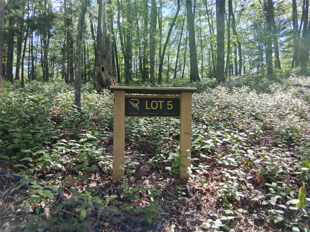 5 Lone Panther Ridge Cashiers, NC 28717