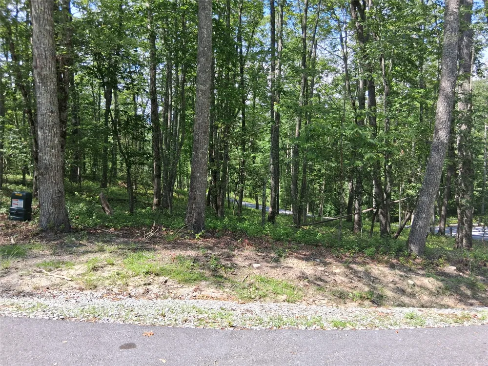 5 Lone Panther Ridge Cashiers, NC 28717