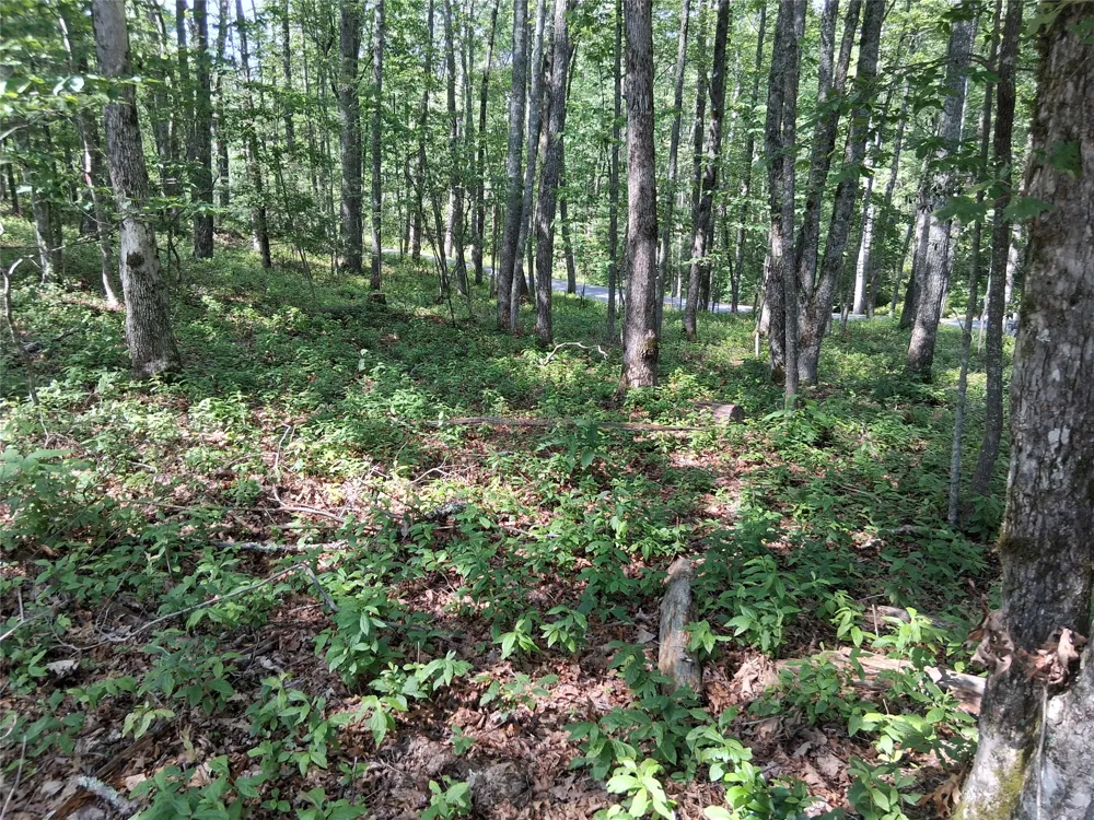 5 Lone Panther Ridge Cashiers, NC 28717