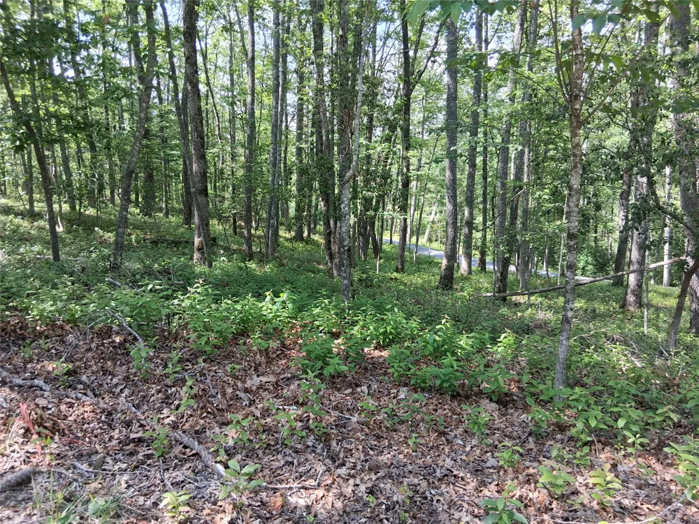 5 Lone Panther Ridge Cashiers, NC 28717