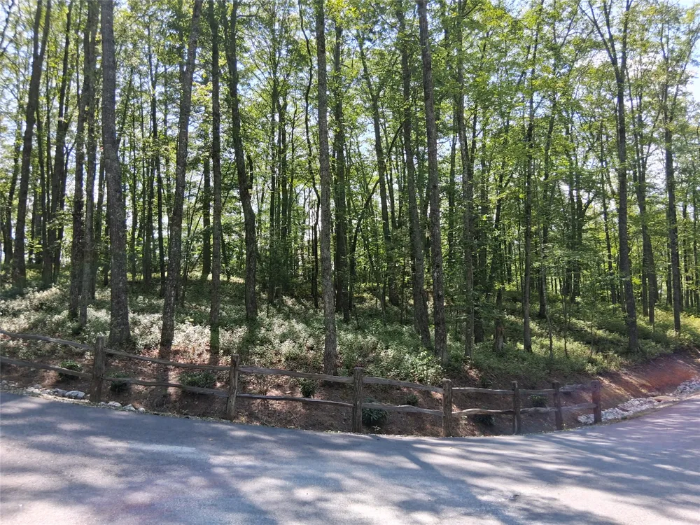 5 Lone Panther Ridge Cashiers, NC 28717