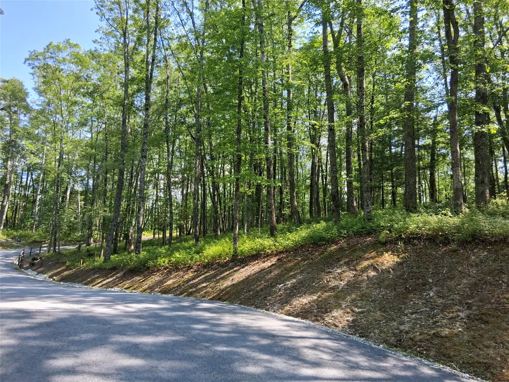 5 Lone Panther Ridge Cashiers, NC 28717