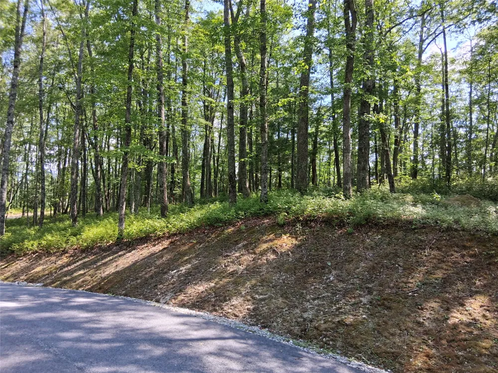5 Lone Panther Ridge Cashiers, NC 28717
