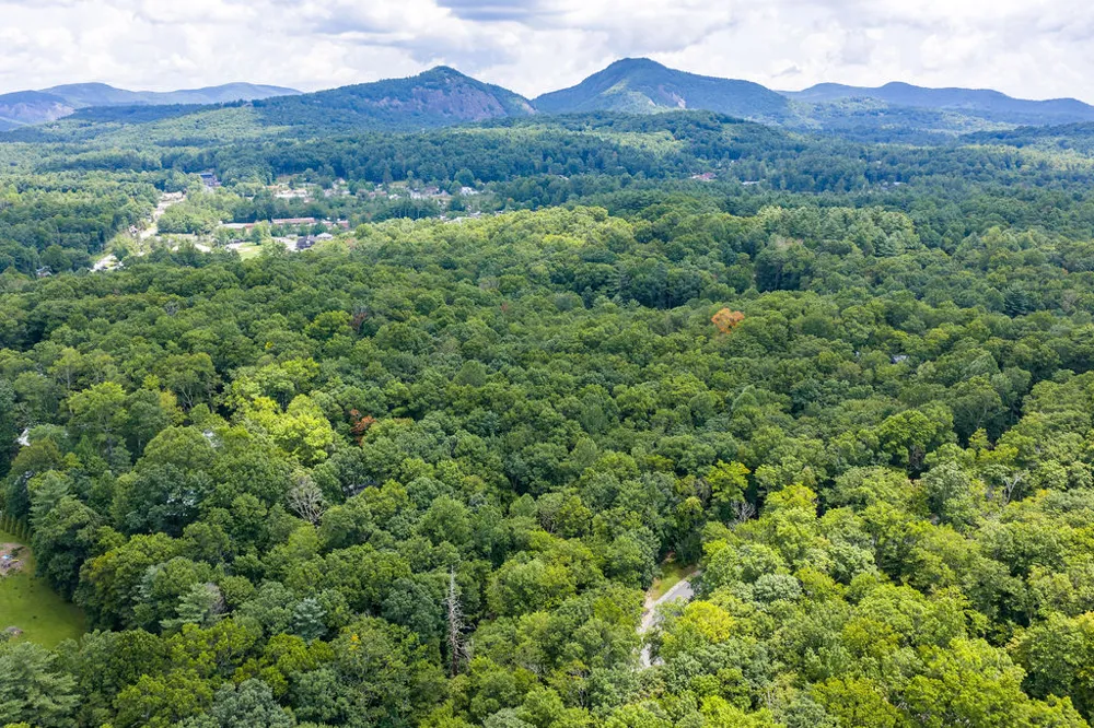 5 Lone Panther Ridge Cashiers, NC 28717