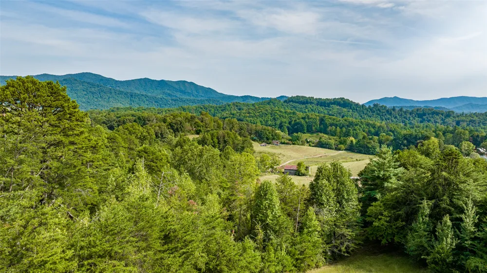 TBD Cattle Dr. Whittier, NC 28789