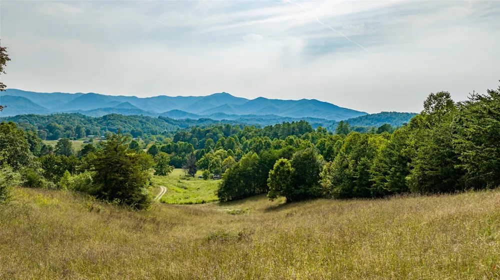 TBD Cattle Dr. Whittier, NC 28789