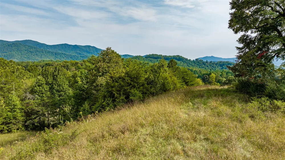 TBD Cattle Dr. Whittier, NC 28789