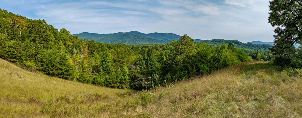 TBD Cattle Dr. Whittier, NC 28789