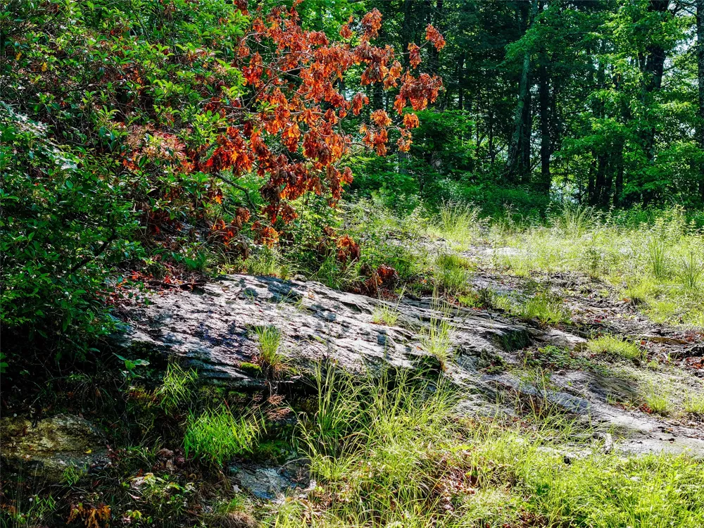 ME-1 Triple Farm Road Cashiers, NC 28717