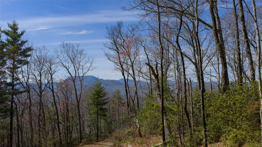 ME-1 Triple Farm Road Cashiers, NC 28717