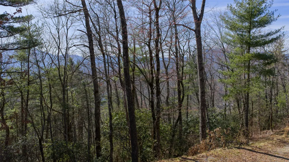 ME-1 Triple Farm Road Cashiers, NC 28717