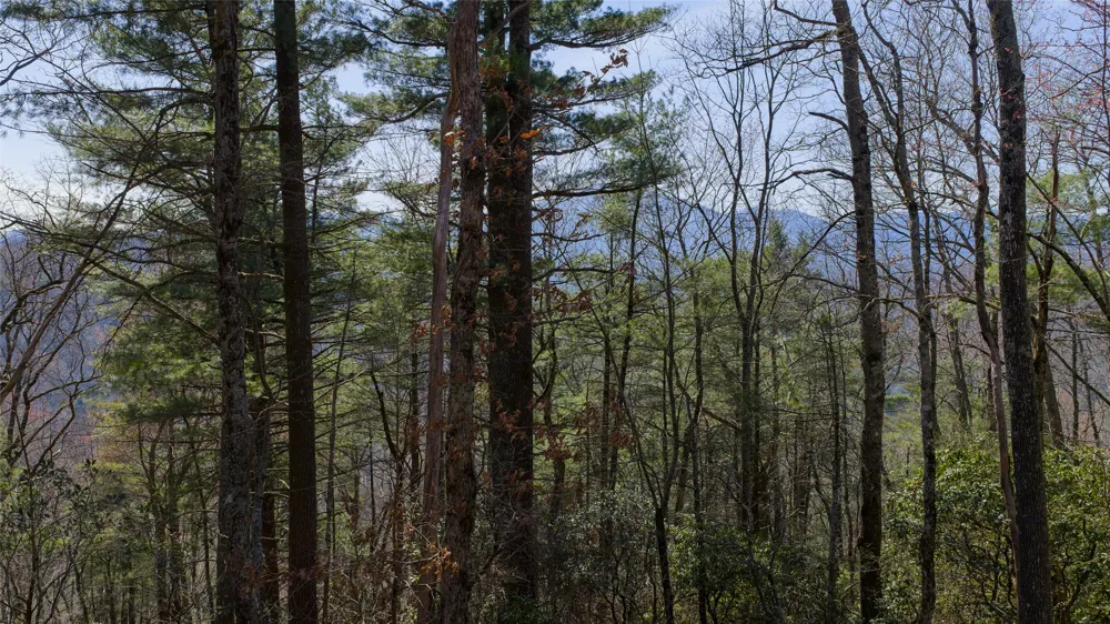 ME-1 Triple Farm Road Cashiers, NC 28717