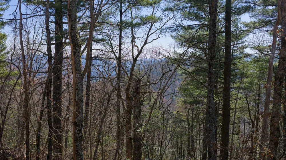ME-1 Triple Farm Road Cashiers, NC 28717
