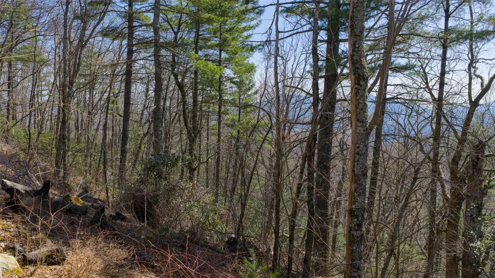 ME-1 Triple Farm Road Cashiers, NC 28717