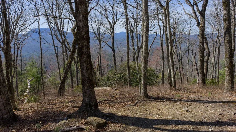 ME-1 Triple Farm Road Cashiers, NC 28717