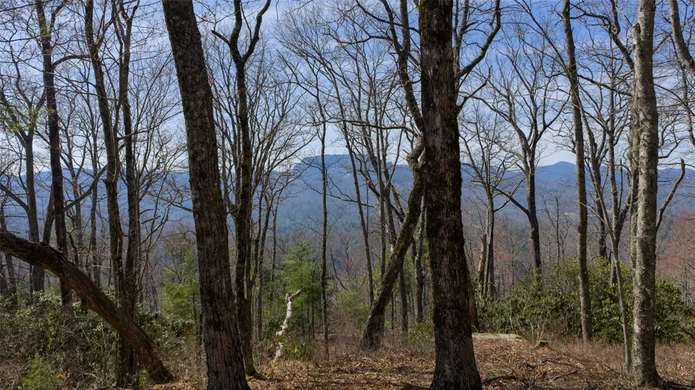ME-1 Triple Farm Road Cashiers, NC 28717