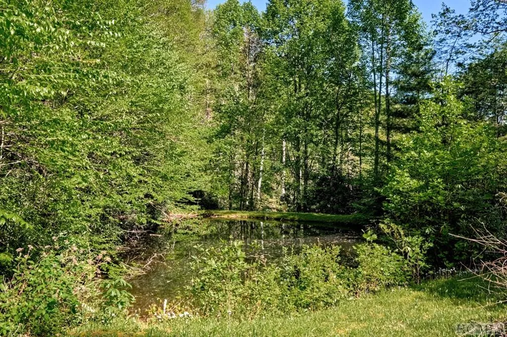 75 Gunpoint Road Cullowhee, NC 28723
