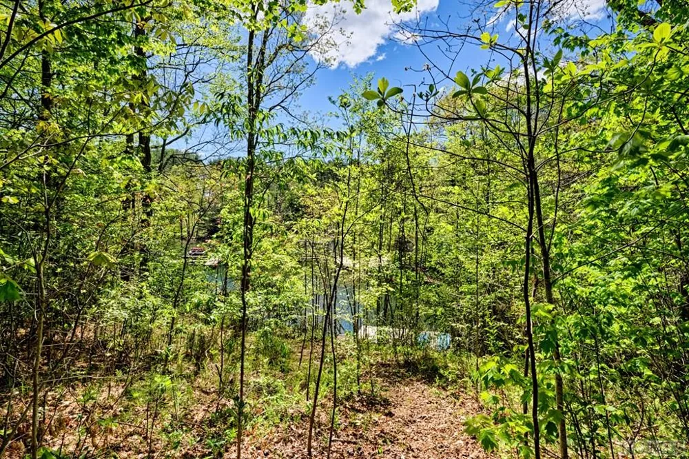 75 Gunpoint Road Cullowhee, NC 28723