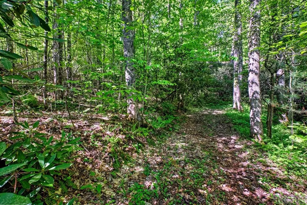 75 Gunpoint Road Cullowhee, NC 28723