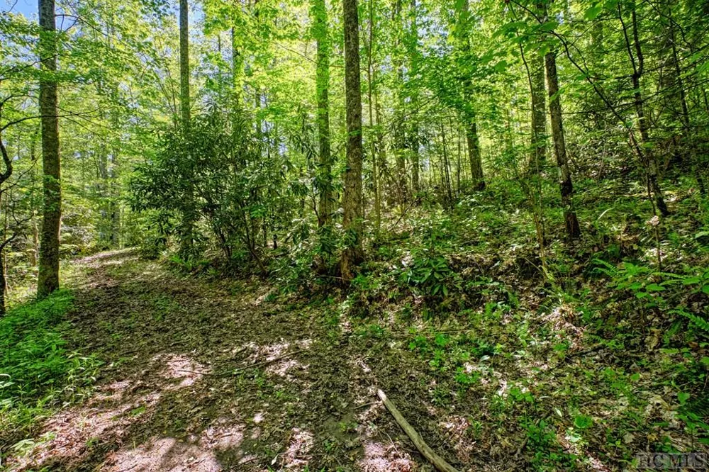 75 Gunpoint Road Cullowhee, NC 28723