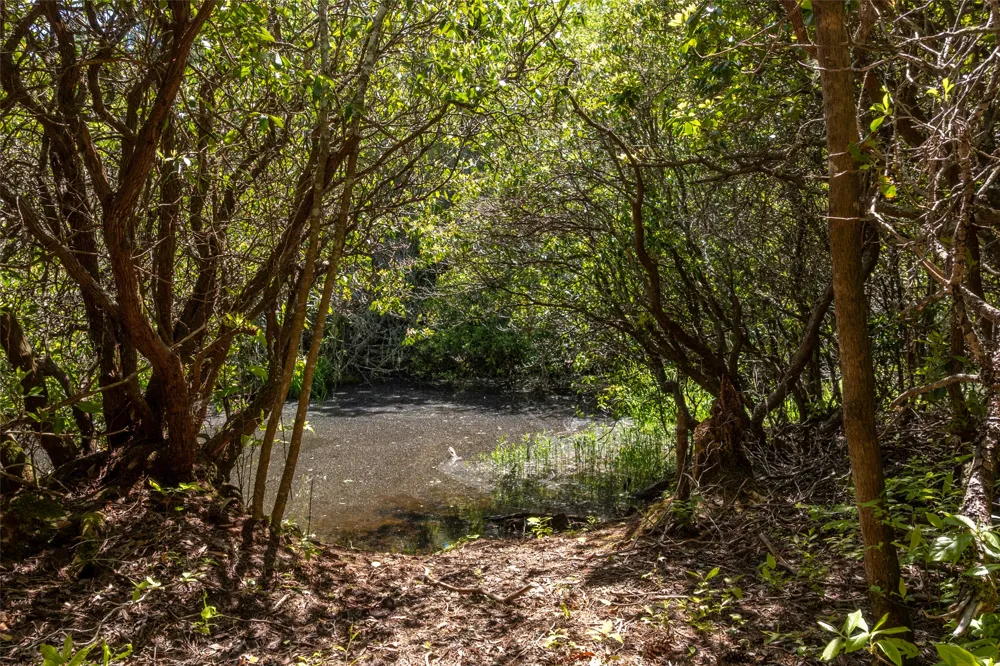 W5 Watersound Trail Glenville, NC 28736