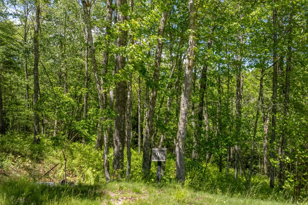 96 Blazing Star Drive Glenville, NC 28736