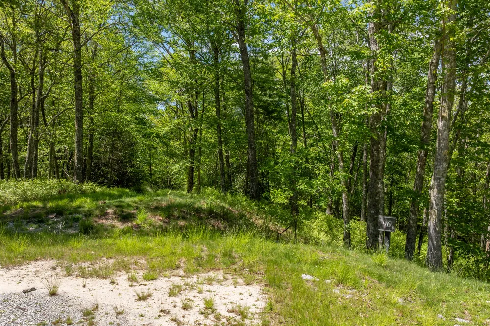 96 Blazing Star Drive Glenville, NC 28736