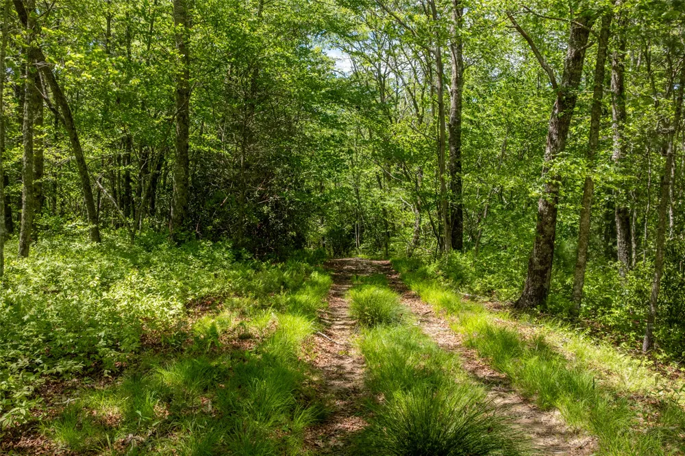96 Blazing Star Drive Glenville, NC 28736