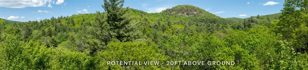 96 Blazing Star Drive Glenville, NC 28736