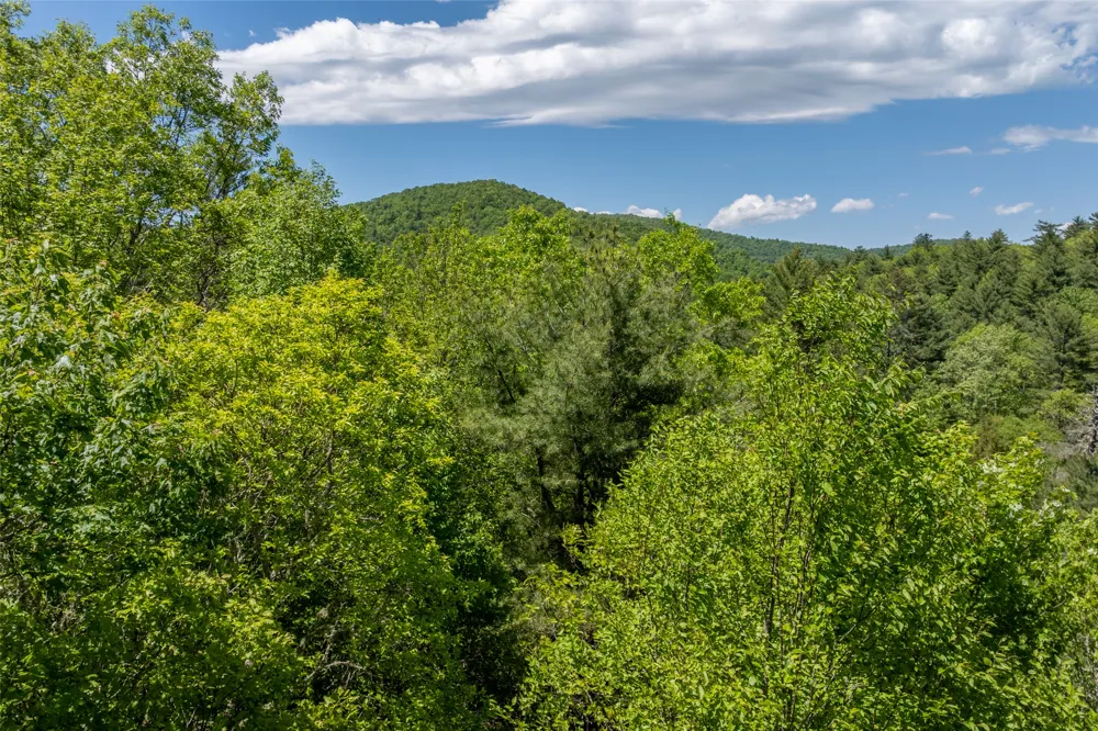 96 Blazing Star Drive Glenville, NC 28736