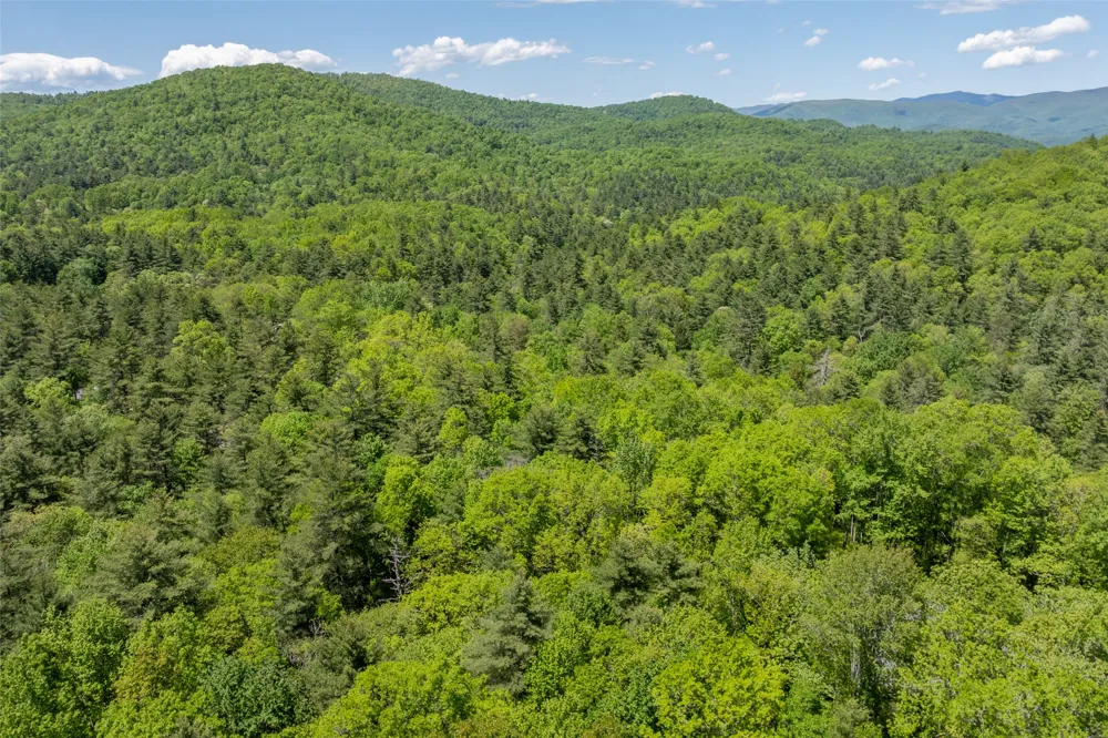 96 Blazing Star Drive Glenville, NC 28736