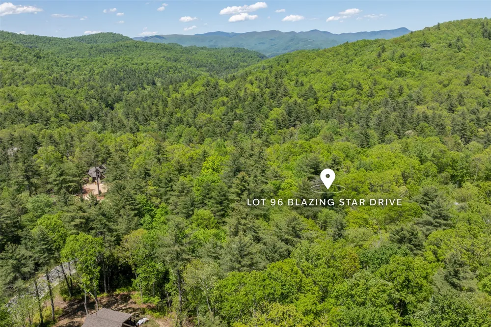 96 Blazing Star Drive Glenville, NC 28736