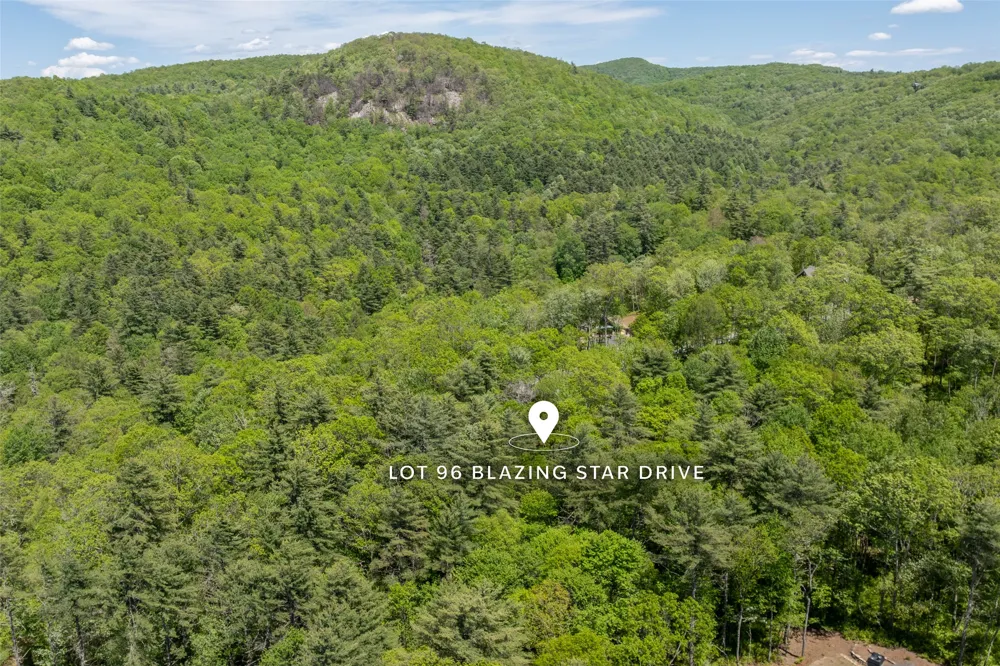 96 Blazing Star Drive Glenville, NC 28736