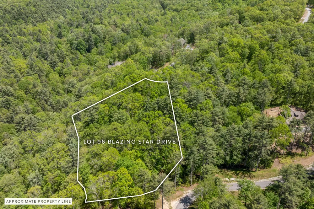 96 Blazing Star Drive Glenville, NC 28736