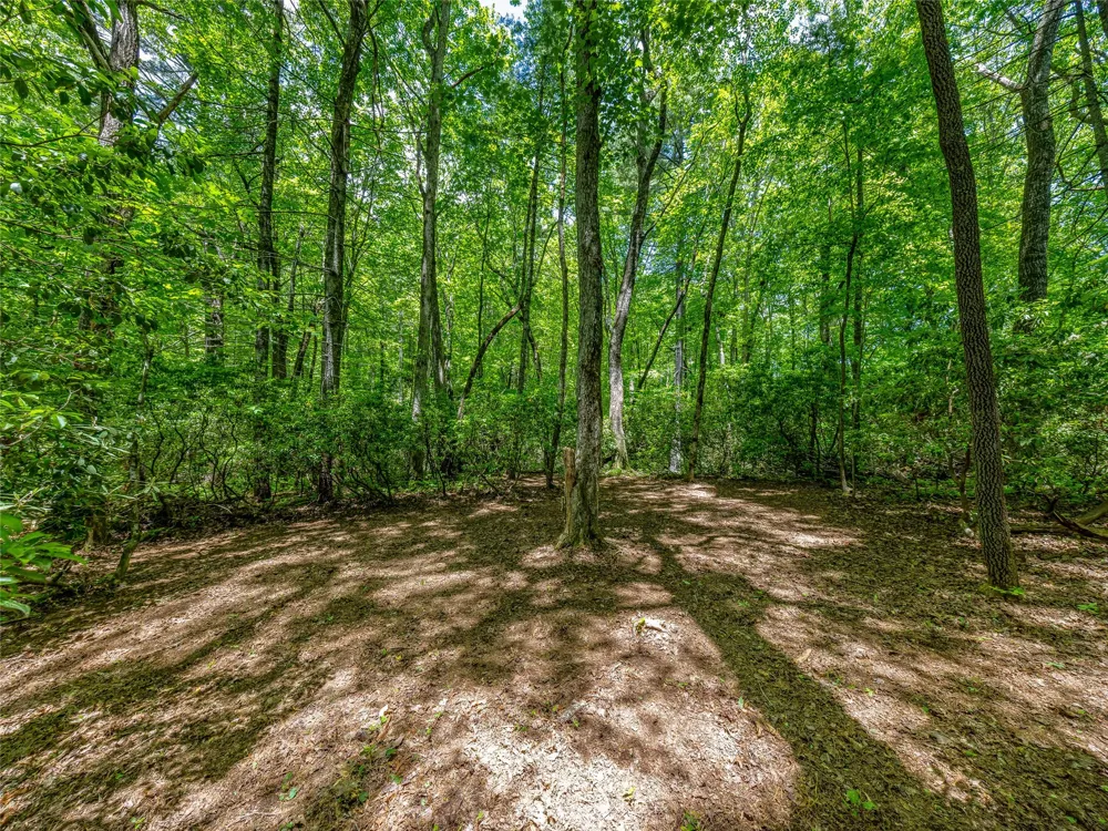 J 33 Cherokee Point Lake Toxaway, NC 28747