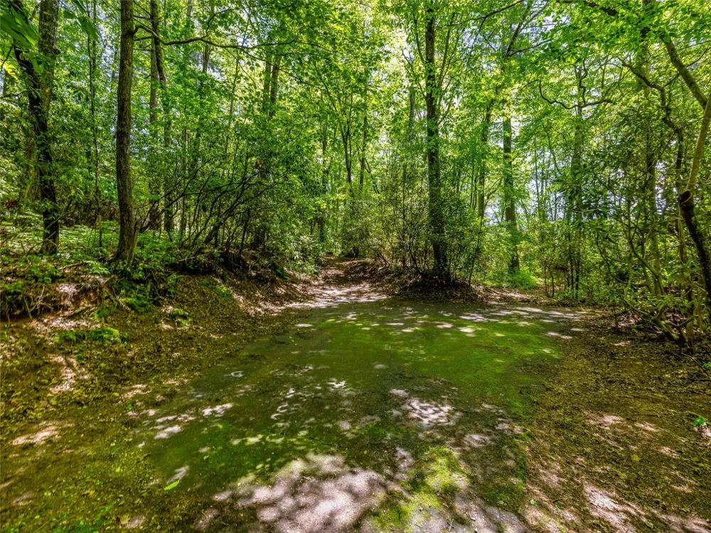 J 33 Cherokee Point Lake Toxaway, NC 28747
