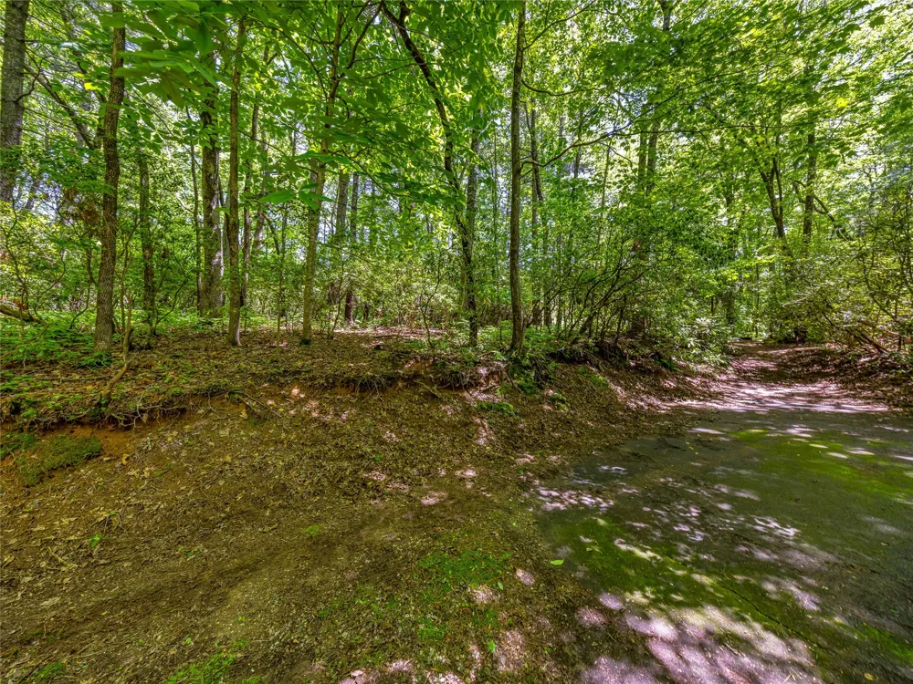J 33 Cherokee Point Lake Toxaway, NC 28747