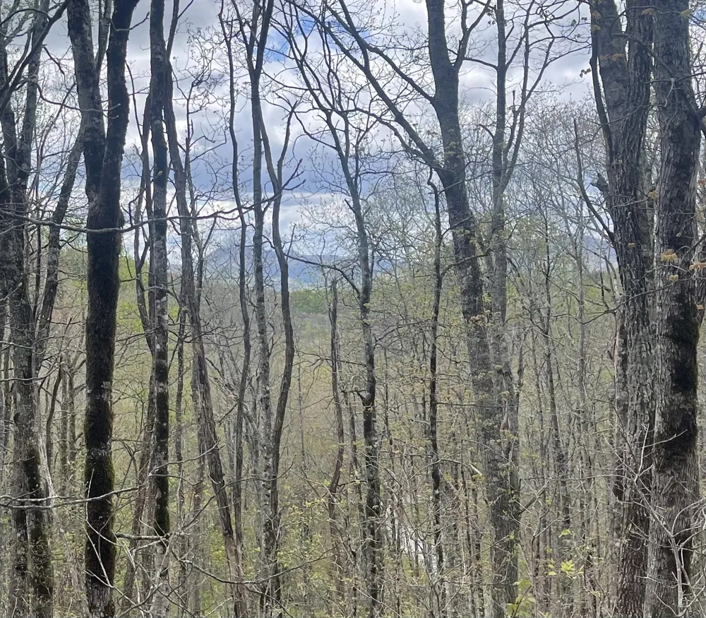 63/64 Valley View Trail Glenville, NC 28736