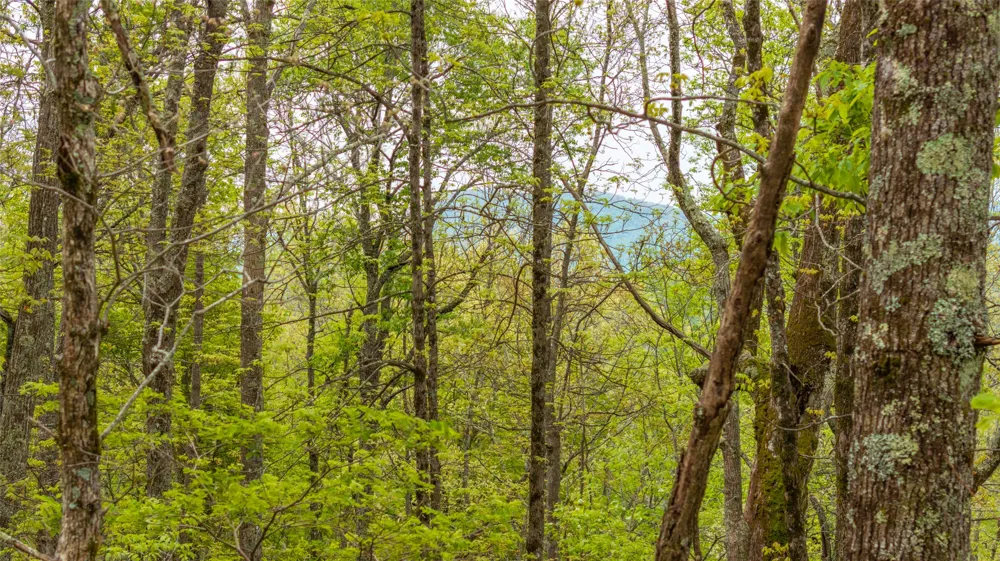 63/64 Valley View Trail Glenville, NC 28736
