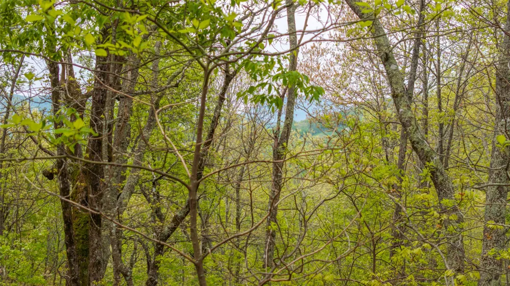 63/64 Valley View Trail Glenville, NC 28736