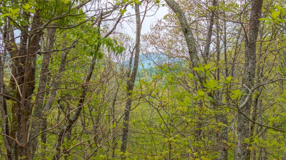 63/64 Valley View Trail Glenville, NC 28736