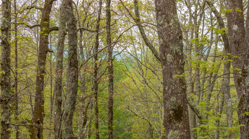 63/64 Valley View Trail Glenville, NC 28736