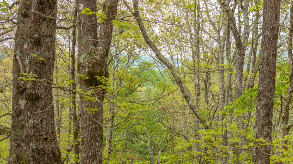 63/64 Valley View Trail Glenville, NC 28736