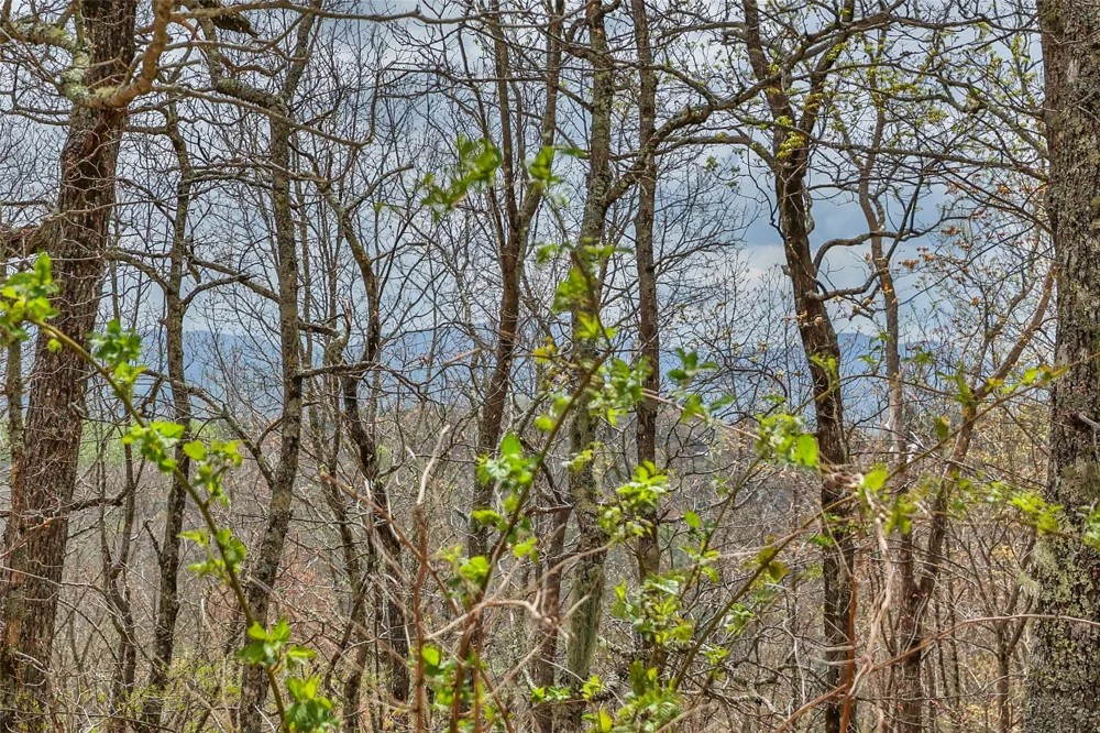 77 Valley View Trail Glenville, NC 28736
