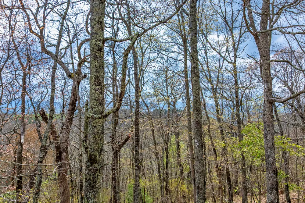 77 Valley View Trail Glenville, NC 28736