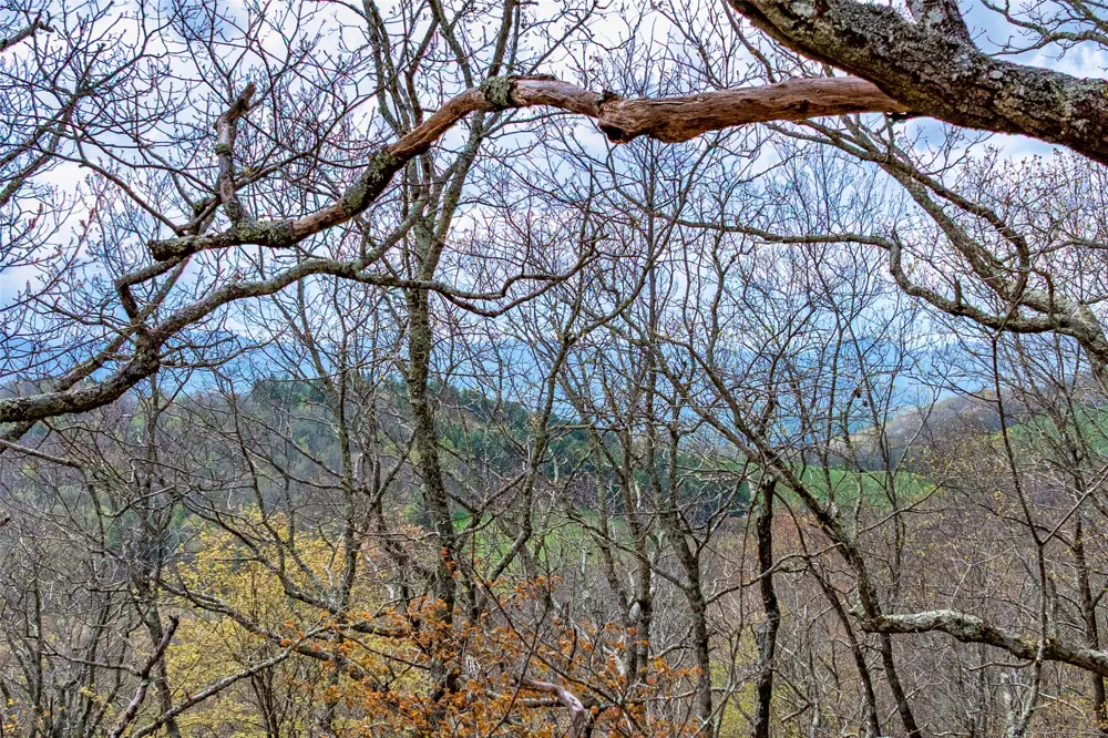 77 Valley View Trail Glenville, NC 28736