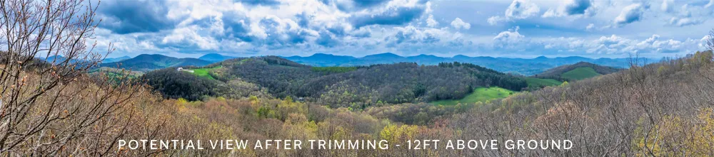 77 Valley View Trail Glenville, NC 28736