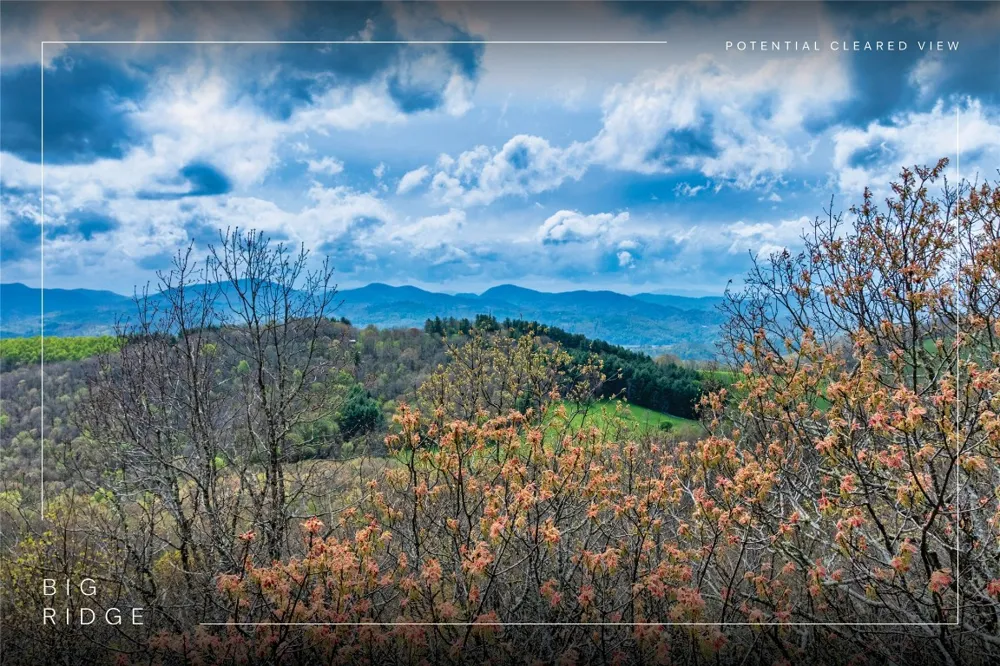 77 Valley View Trail