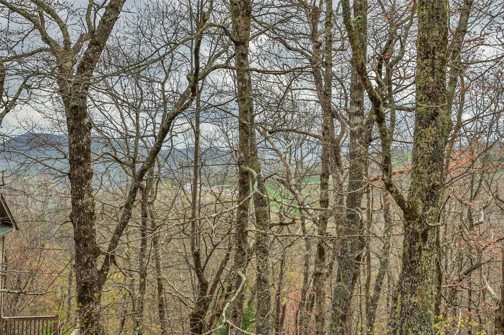 77 Valley View Trail Glenville, NC 28736